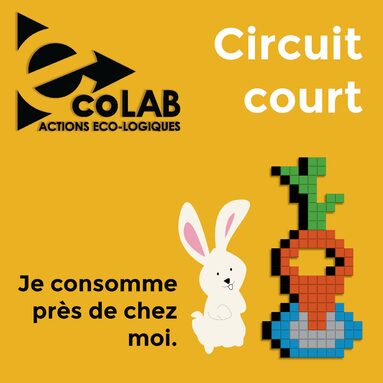 LEA ROUX circuit court-2.jpg